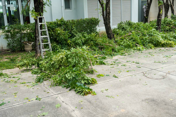 Best Lawn Maintenance Plans  in Columbia, CA